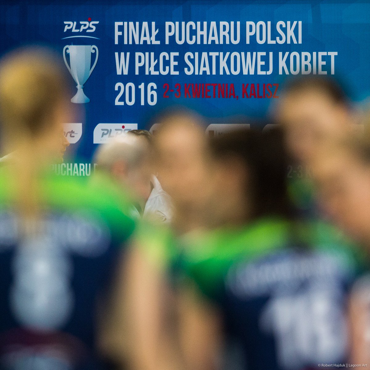 Puchar Polski - <a href="/AtomTreflSopot/">Atom Trefl Sopot</a> 3:0 @MKSMuszynianka Galeria:
bit.ly/1N3KLfK <a href="/PolskaSiatkowka/">POLSKA SIATKÓWKA</a> #siatkowka