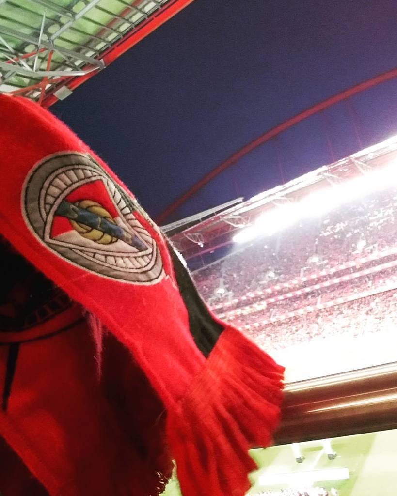 GloriosoSLBApp's tweet photo. #rumoao35 #step28
#etapa #concluida com #sucesso #benficasempre #benfica #glorioso #juntos #ninguemparaobenfica #e… https://t.co/pO94eo6eld