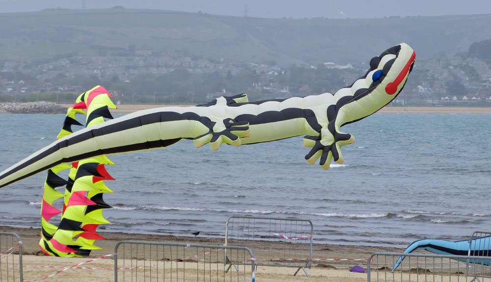 weymouth_dorset's tweet photo. The kites are back on the beach from 30 April to 2 May this year for Weymouth Kite Festival https://t.co/Cz13IzWvkz