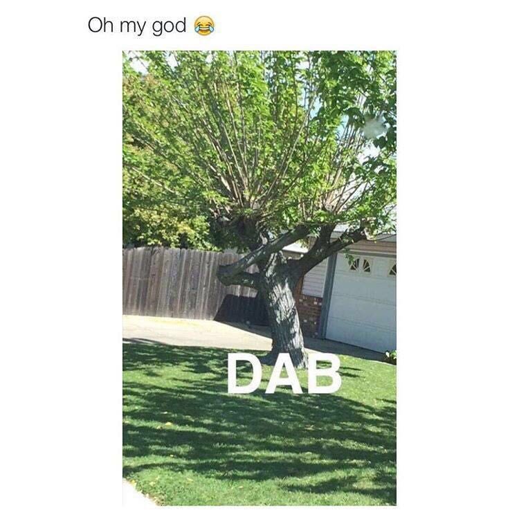 #howelse https://t.co/z6DovJ4hjp