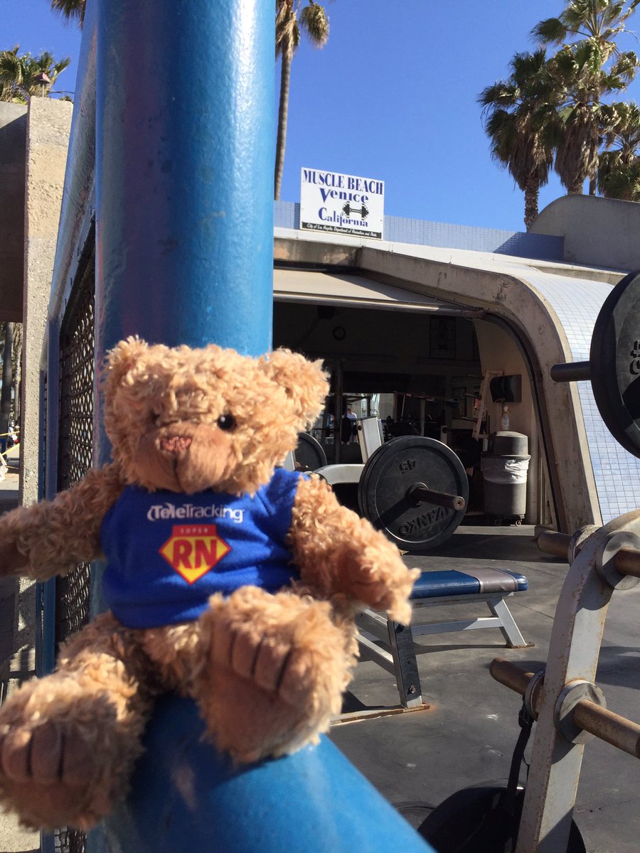Hulkamainia's tweet photo. @TheRealTeleBear TeleBear pumping iron at Muscle Beach. #VeniceBeach #telewellness https://t.co/JrvmAaMmUy