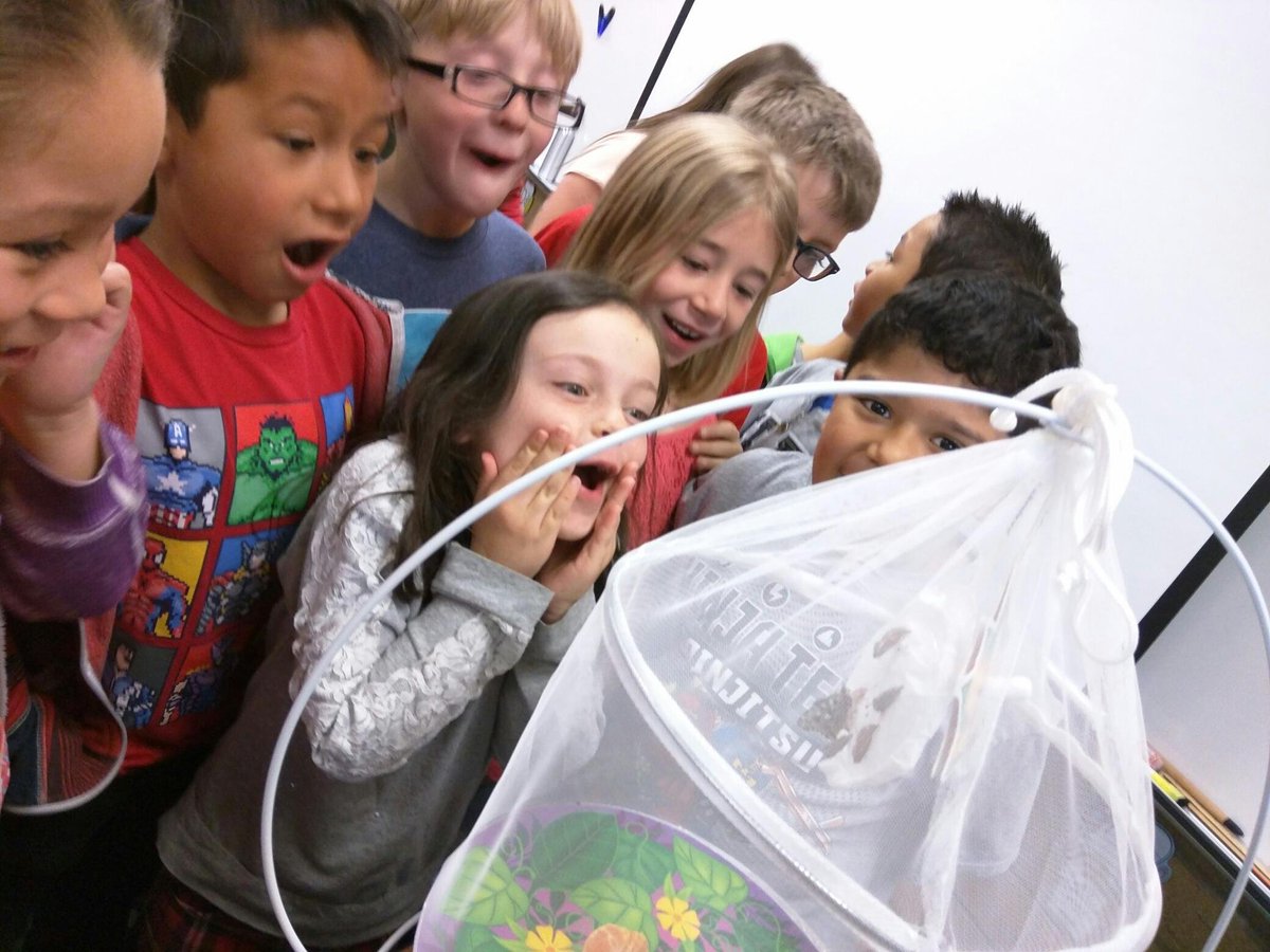 Hillside Elementary tweet media