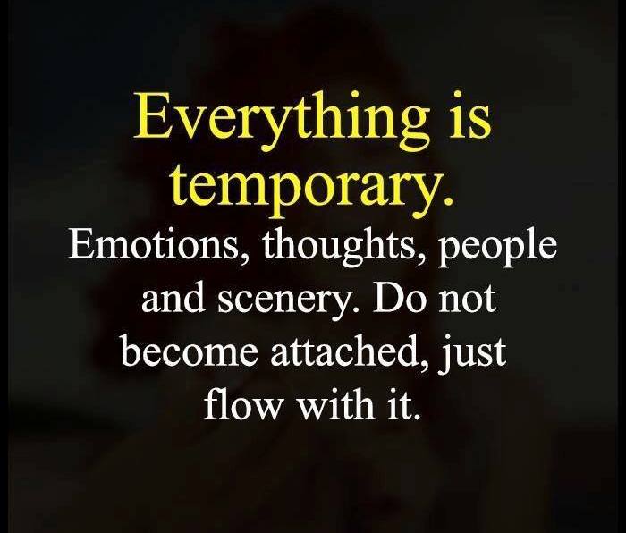 SuccessCreators's tweet image. 