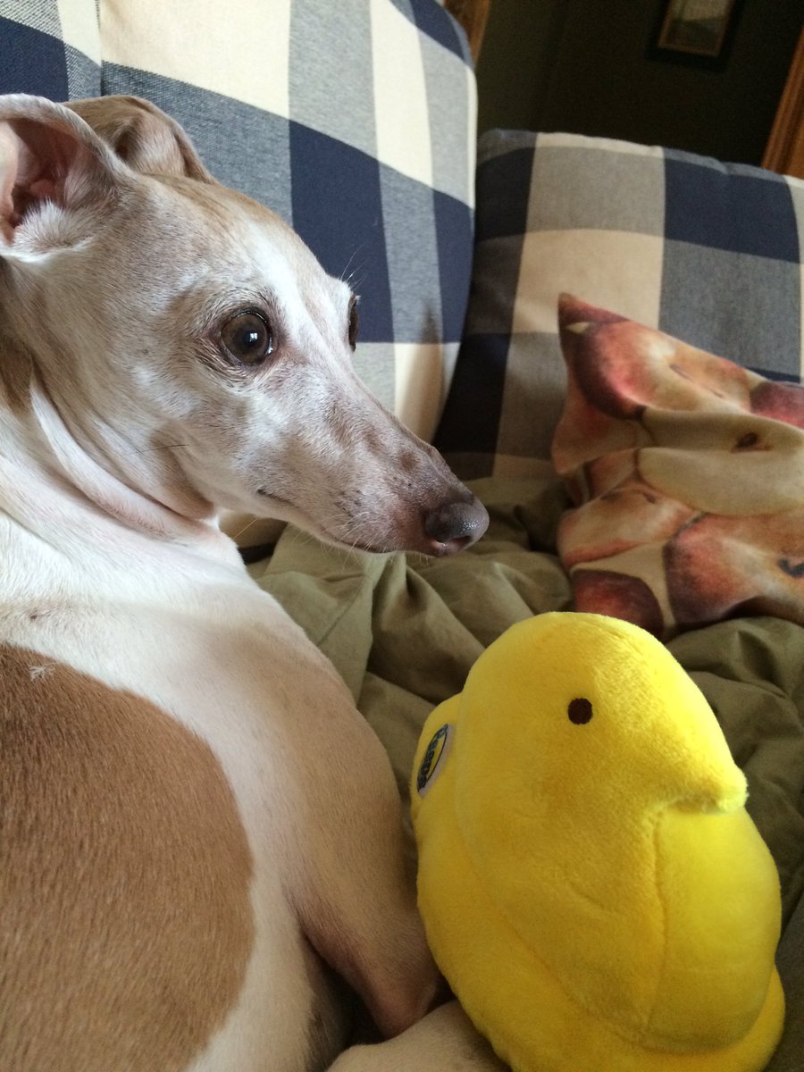 PhoebeTweets's tweet photo. https://t.co/J3GvaKFspQ