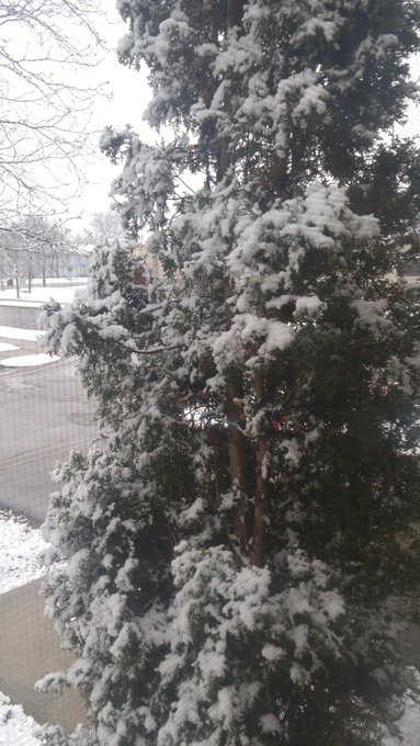 It is snowing outside of my window. It's April, I'm not amused. https://t.co/54Xz0cBLU4<a href="/tag/footworship"class="tags"><span>#footworship</span></a>
