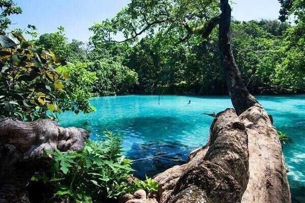 Paisajes_'s tweet photo. Laguna Azul, Jamaica. https://t.co/Yz13cxAvmX