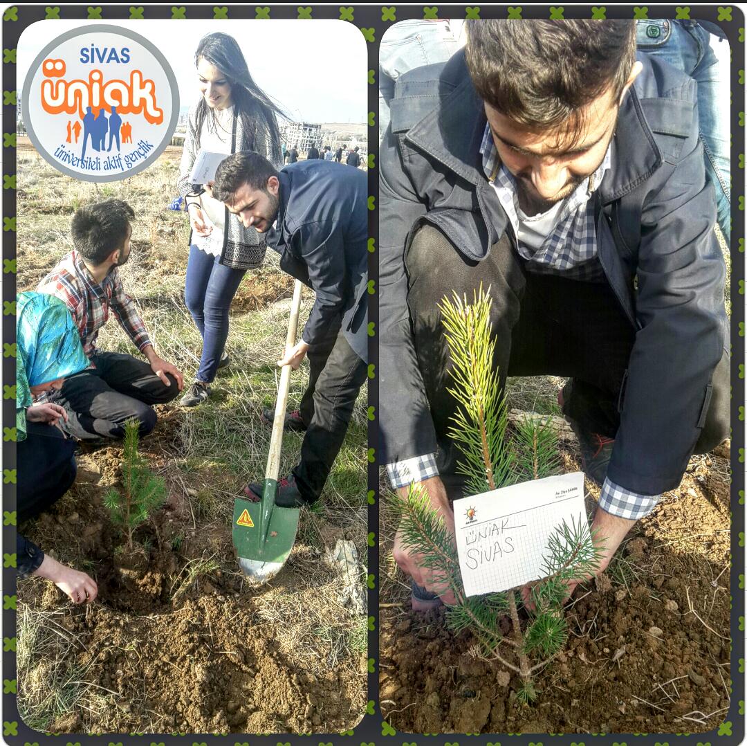 UniakMuhendis58's tweet photo. "Orman yurdun öz evladi ormansız yok dünya tadi."(Aşık Veysel) @vahapdertli @UniAKSivas @UniakGM @mhabibsoluk https://t.co/SP9mPIrFhs