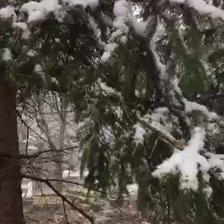 LizDavis_high5's tweet image. |REPLAY| ☃☃It's SNOWING ☃☃ #walkandtalk 💃🏼#homeschoolscopes #quickscopes #katch #Periscope ktch.tv/94Lj