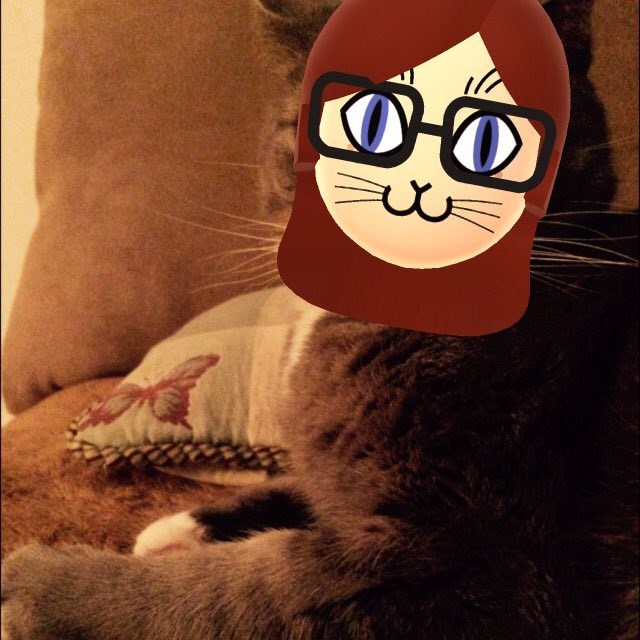 ACNLPuff's tweet image. Meow. 😂🐱 #Miitomo #Miimoto