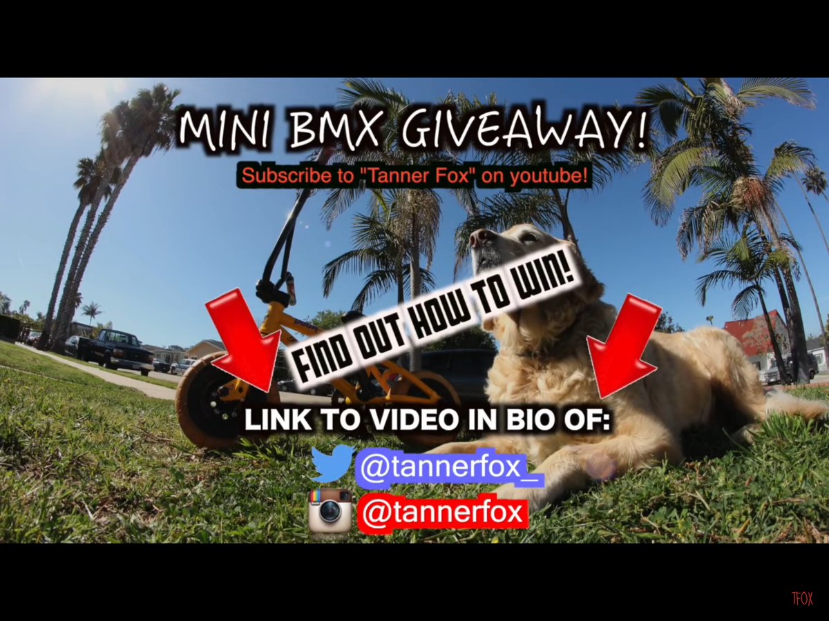 GamesAndCam's tweet photo. To win watch vid @tannerfox_  bio #Tfoxfree https://t.co/CZfvcvCWE8