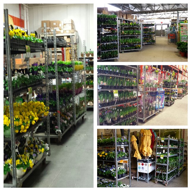 susan_plog's tweet image. Thanks all for outstanding #coldweatherprotection support in Mkt 65 @HomeDepot @KWGHI @daryl_hagen @ChantelPassere1