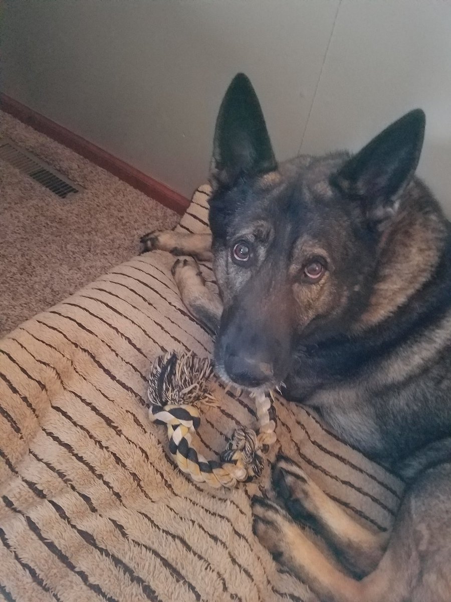fakeDekeyser65's tweet photo. #dailyDiesel https://t.co/GRyq5592Dt