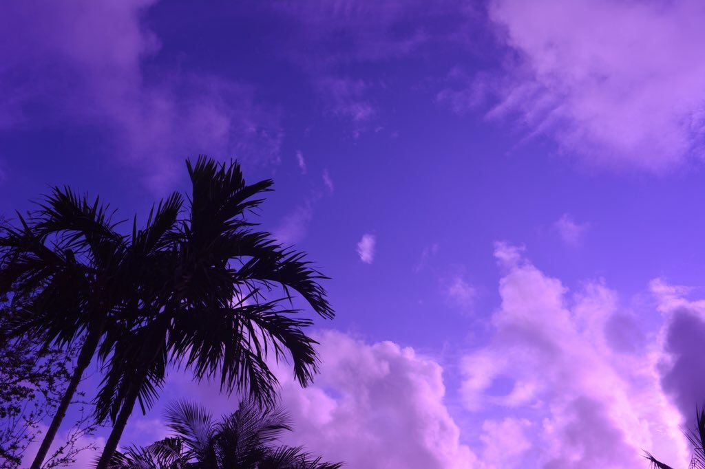 tmbIrpics's tweet photo. Purple Sunset https://t.co/boaCYwKkrV