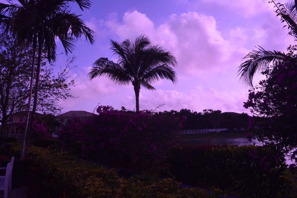 tmbIrpics's tweet photo. Purple Sunset https://t.co/boaCYwKkrV