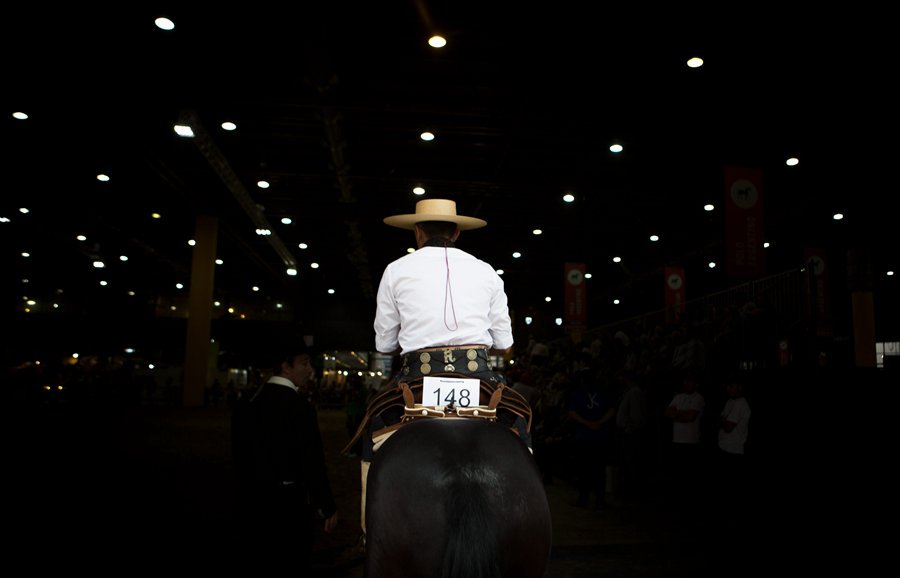 XHNews's tweet photo. "Our Horses", most important exhibition of equine industry in Latin America, kicks off in Buenos Aires of Argentina https://t.co/t5NzcbpLQj