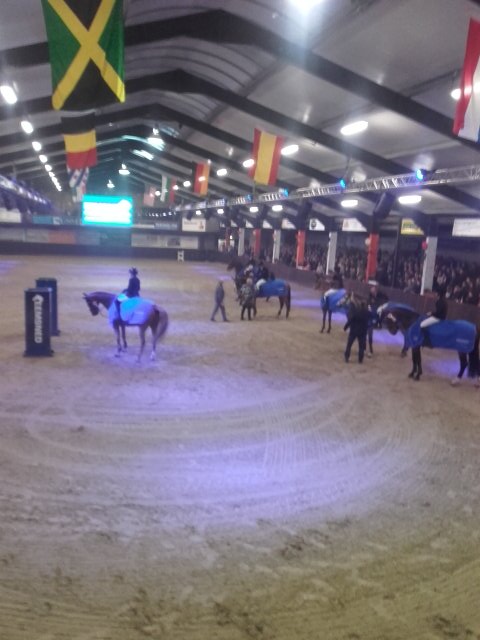 Indoor Tolbert tweet media