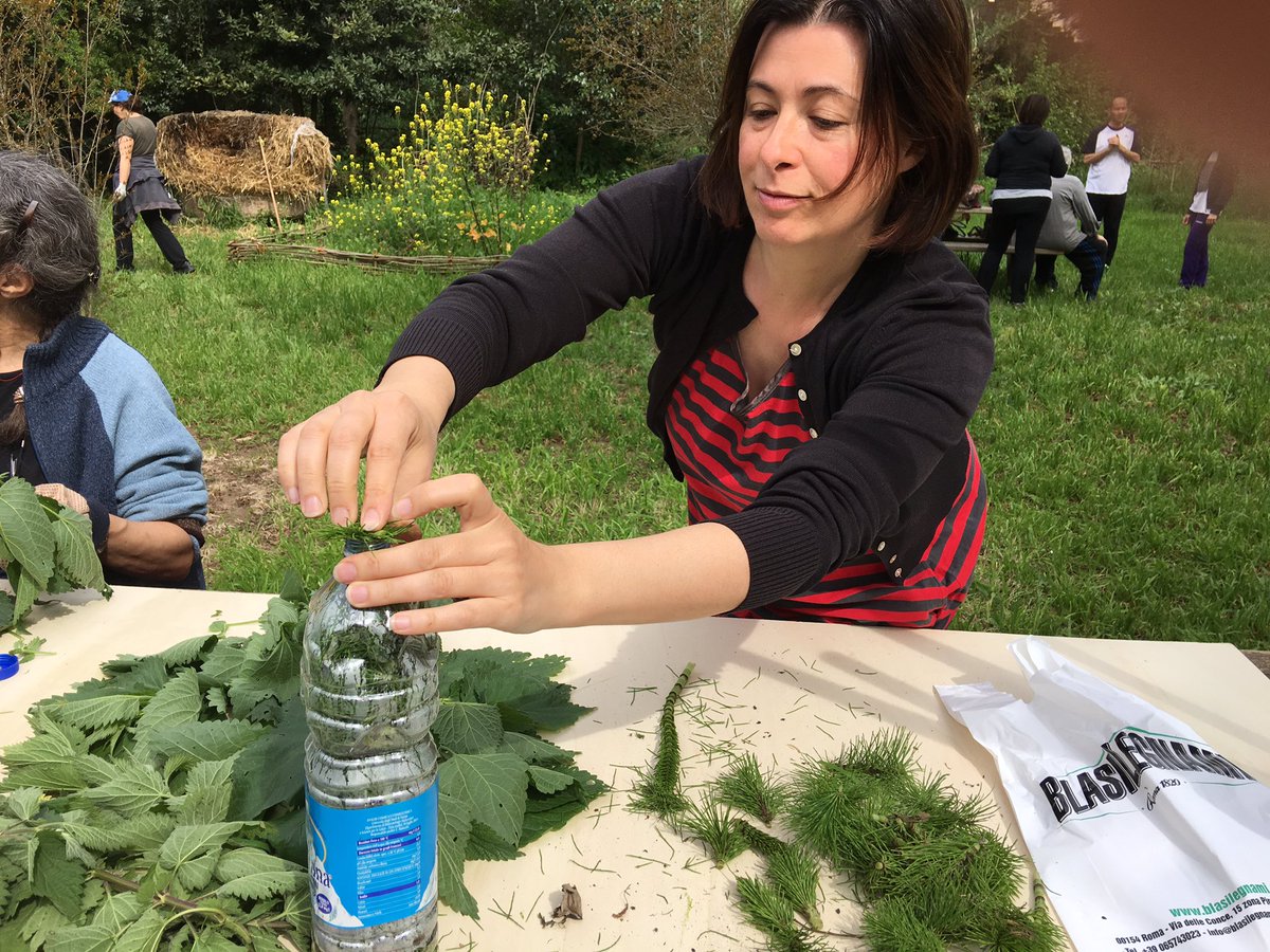 RomeGardentours's tweet image. #Lecture3 in #HortusHurbis : making an insecticide, seeding and covering. @zappataromana @parcoappia #RomeGarden