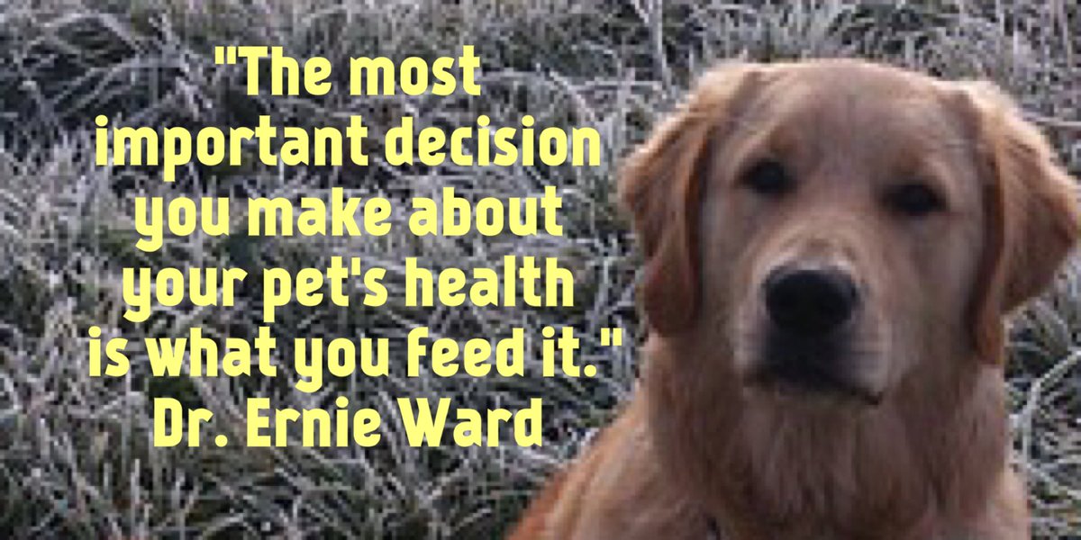 A friendly reminder. #AAHA2016 #PetObesity <a href="/dvm360/">dvm360®</a> #vets #pets #petfood <a href="/AAHAHealthyPet/">American Animal Hospital Association</a> <a href="/AVMAvets/">AVMA (American Veterinary Medical Association)</a> <a href="/VetTechs/">vettechs</a>