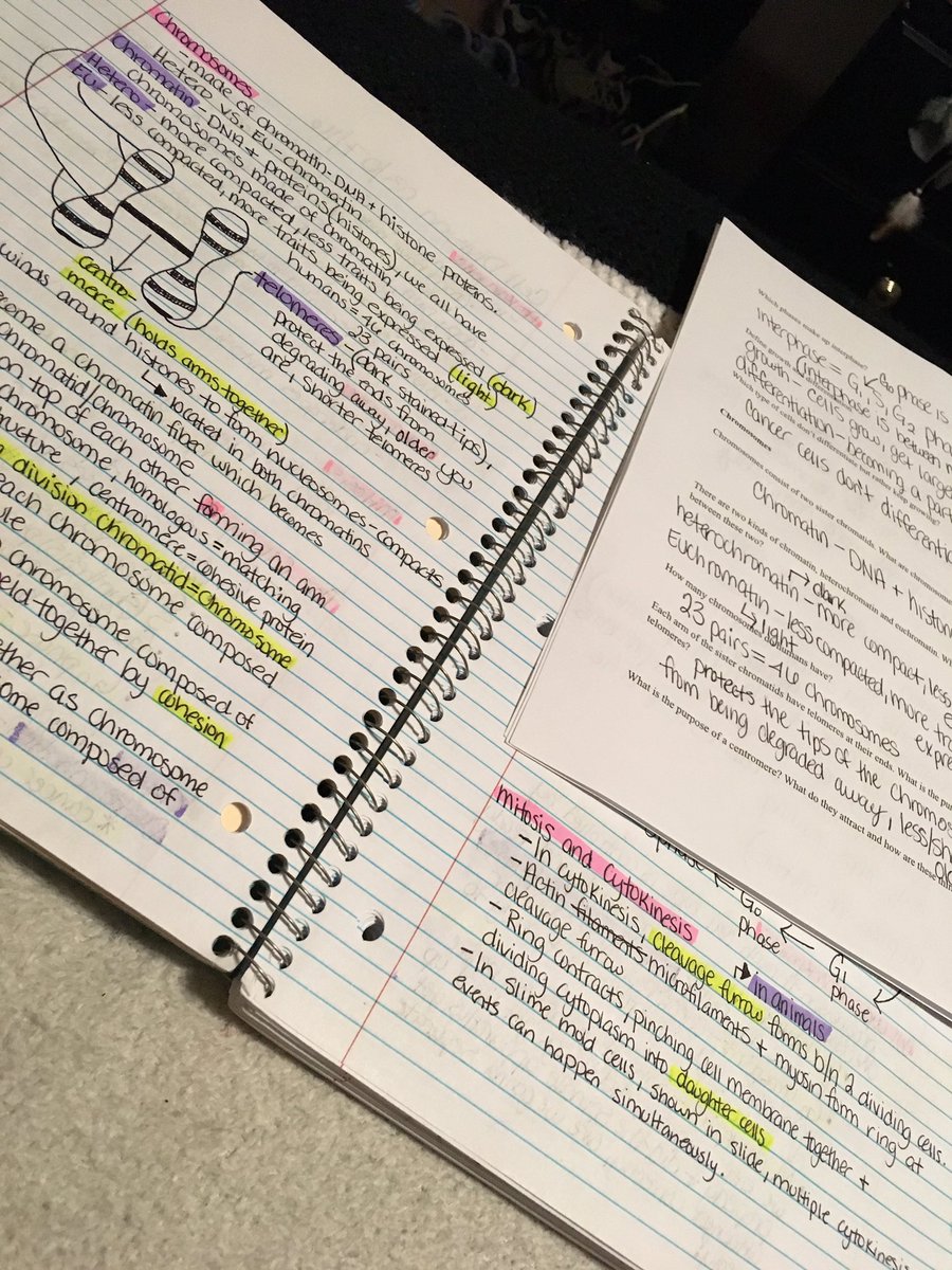 brianapontious's tweet photo. Studying for biology on this fine Saturday afternoon! 🤓 @UNKBiol106 #TwiggWeek11 https://t.co/U6O8KROZsN