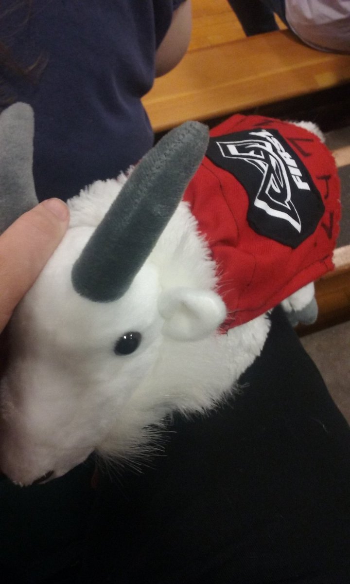 MeanMachine2471's tweet photo. @first_wa we have our own #moatgoat https://t.co/2ouCdD1L5R