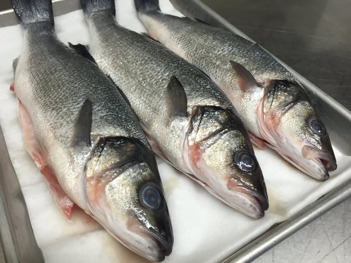 Bocadillos SF tweet media