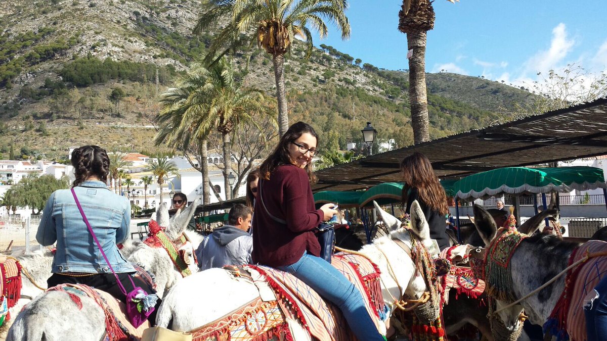 MFHSSpain2016's tweet photo. Mijas is also known for its burro taxis. Yew haw! https://t.co/L1LUDOVNAQ