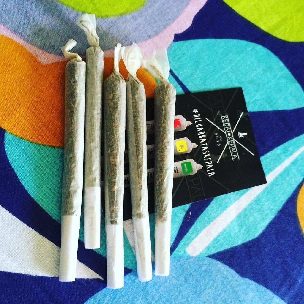 KepalaKedai's tweet photo. Selamat Ahad!

#kedaikepala #diluarbataskepala #kl420 #kk420 #my420 https://t.co/fwfvoqRIjs https://t.co/9EdeLUJKbC