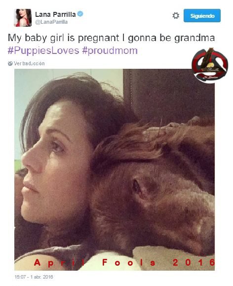 fansLPfamily's tweet photo. We never believe that our #AprilFools2016 made shock to many #EvilRegals @LanaParrilla @TheLolaParrilla https://t.co/v67YsGxU9r