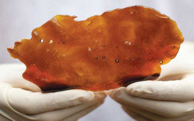 HIGH_TIMES_Mag's tweet photo. #READ - How Clean is Your Cannabis?
https://t.co/Bi6LMOK8us https://t.co/oKWq8uclWs
