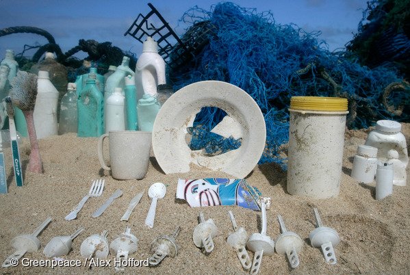 Greenpeace's tweet photo. By 2050 there may be more plastic than fish in the ocean. Here's 10 way to use less plastic! https://t.co/PdSE6CELRV https://t.co/zpjLFlK4iP