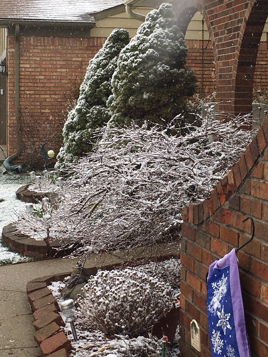 RawrItsChel's tweet image. #michiganproblems