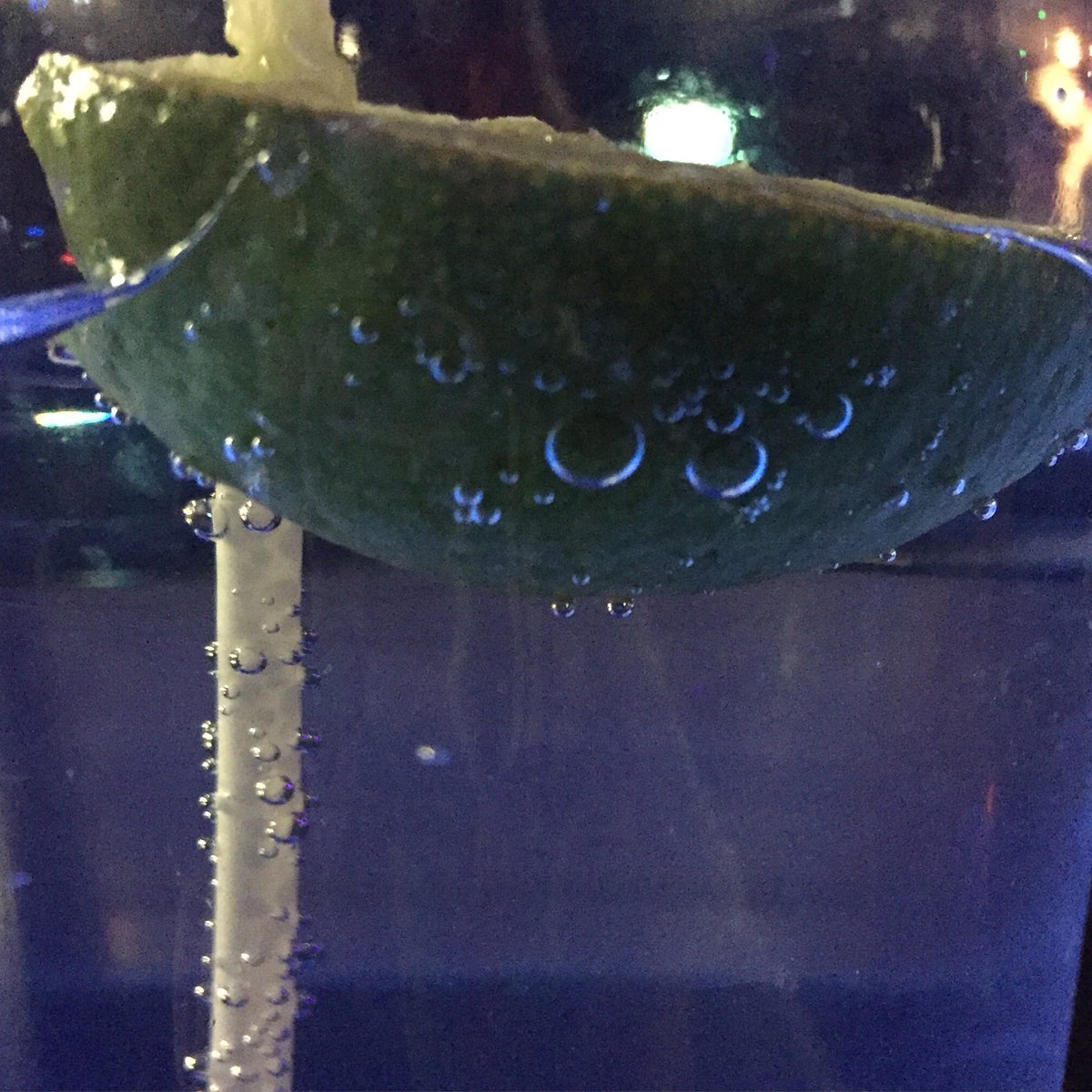 TheVenDreddies's tweet image. #Soundcheck time @ @zaphods_ottawa! Fun night ahead with @theAMresolution &amp;amp; @thehaigband! #OttMusic