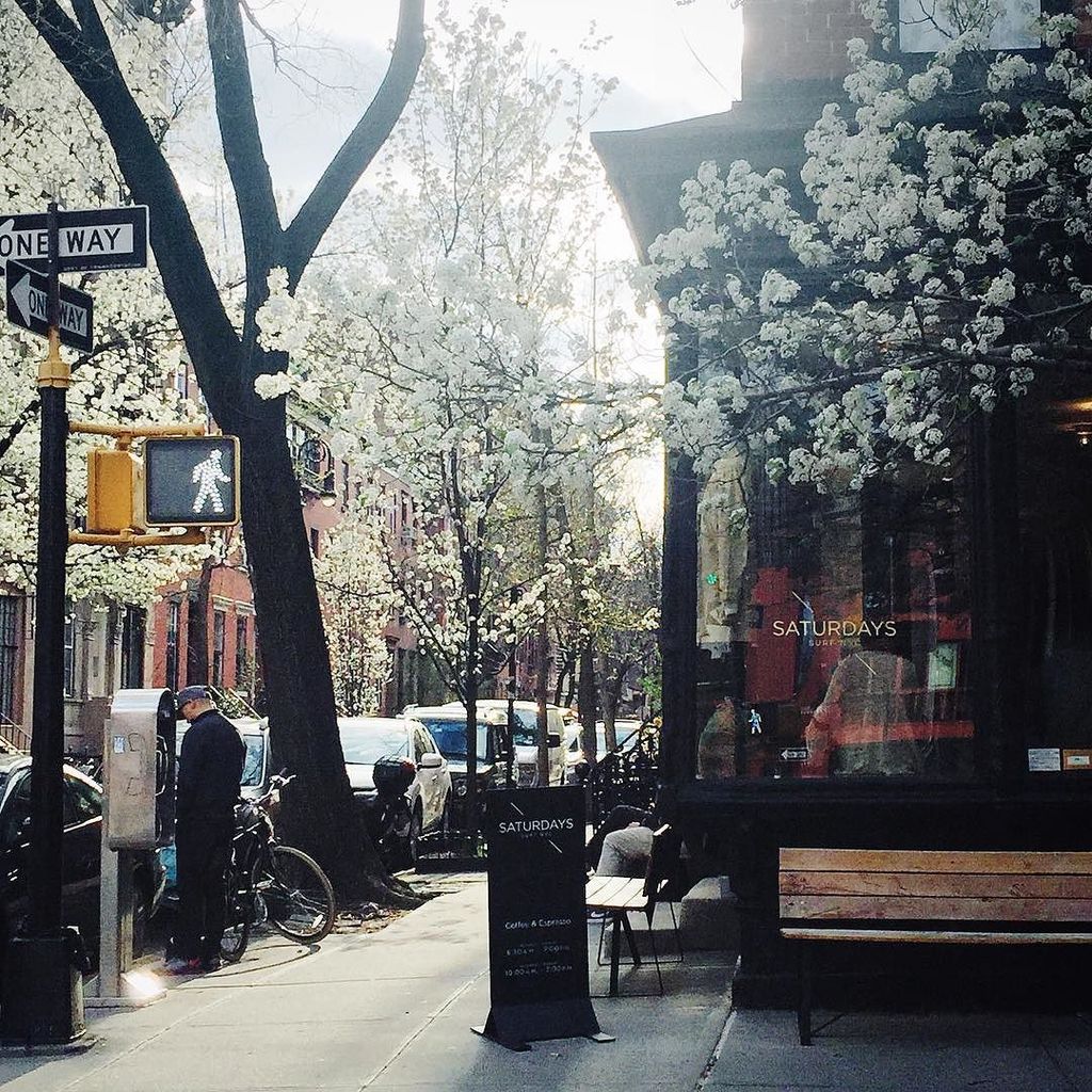 SavvyHome's tweet photo. Saturdays π½π― #NYC #WestVillage #thirdcoffee #jitters https://t.co/GfT3sgJyKE https://t.co/2aDyaV5D6V
