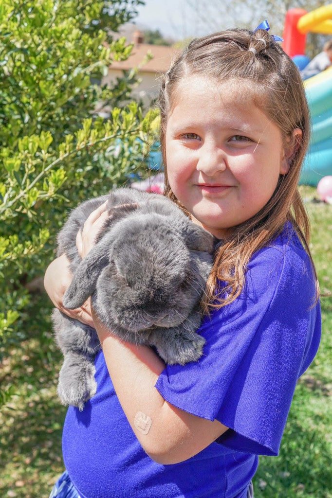 I was a guest of honor at a #birthday party today! #bunny #funny #b-day #bash #pet #rabbit