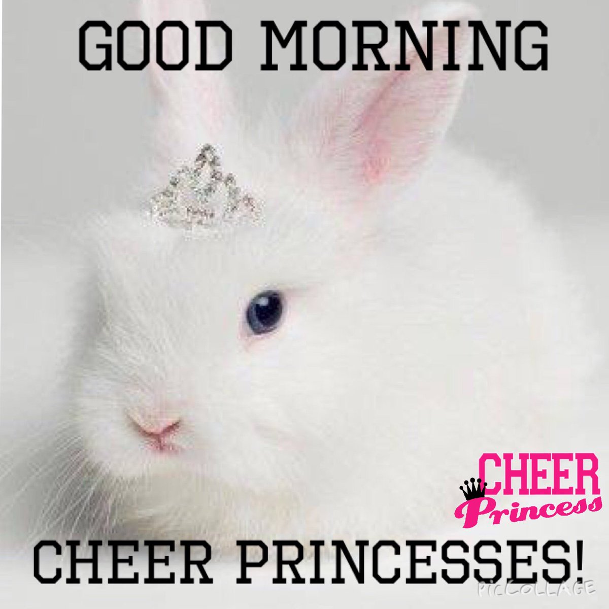 cheerprincessau's tweet photo. Well hey! Whatcha doin' today? 😊💖🎀 CPx #goodmorning #hello #wakeup #daytime #goodday #cheer #cheerleader #cheerf... https://t.co/OAze2c4o3y