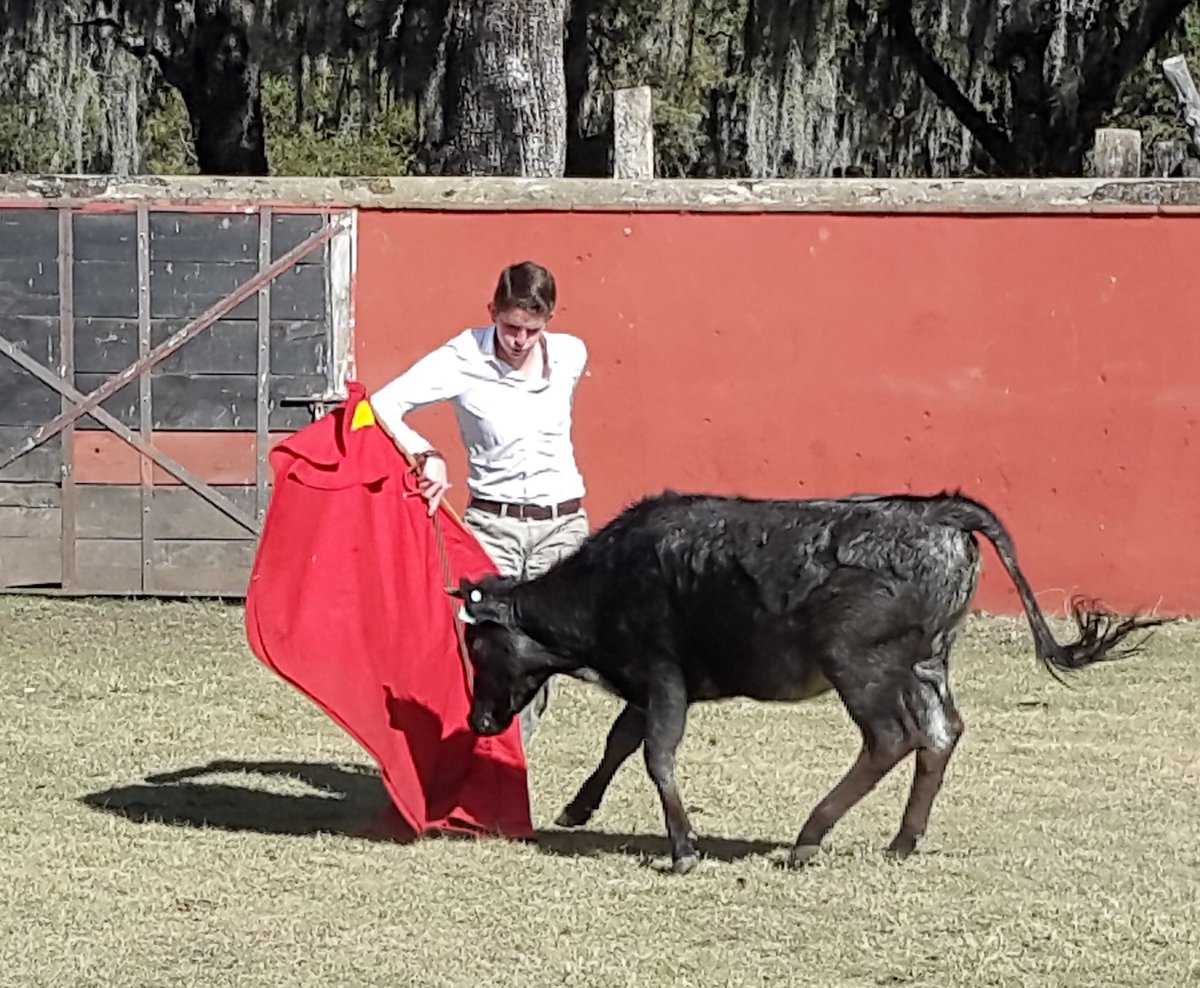 Formaficion's tweet photo. Bien anduvo en @GRanchoSeco el aspirante a #novillero @Oscar_Landeta10 con buen oido y sentido fino del temple https://t.co/PWZQiWeplB