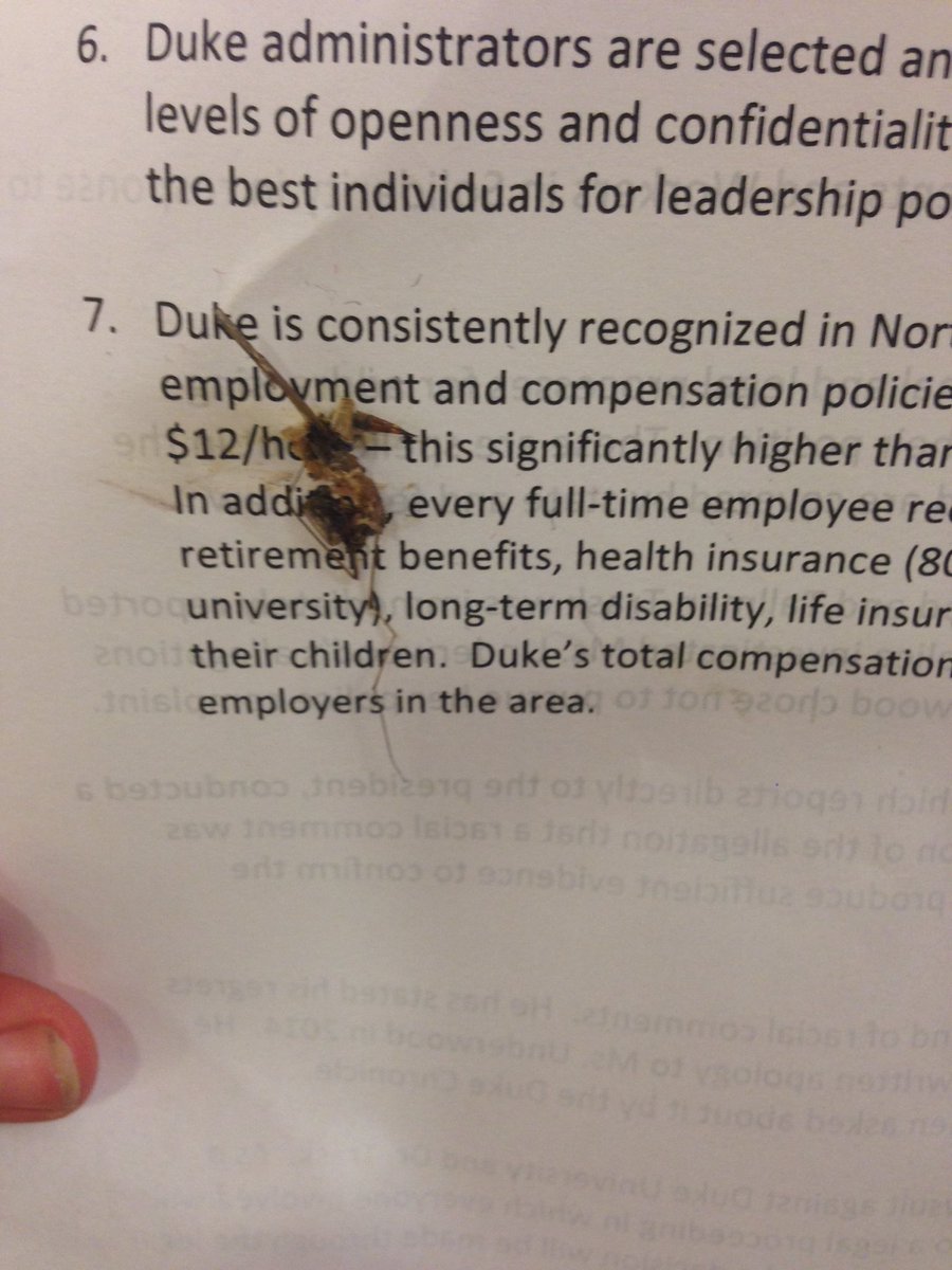 dsws2016's tweet photo. PEST CONTROL #OccupyAllen2k16 #DSWS #DismantleDukePlantation #TrashTrask #CanCavanaugh #DumpDePinto https://t.co/3yRJz73UnX