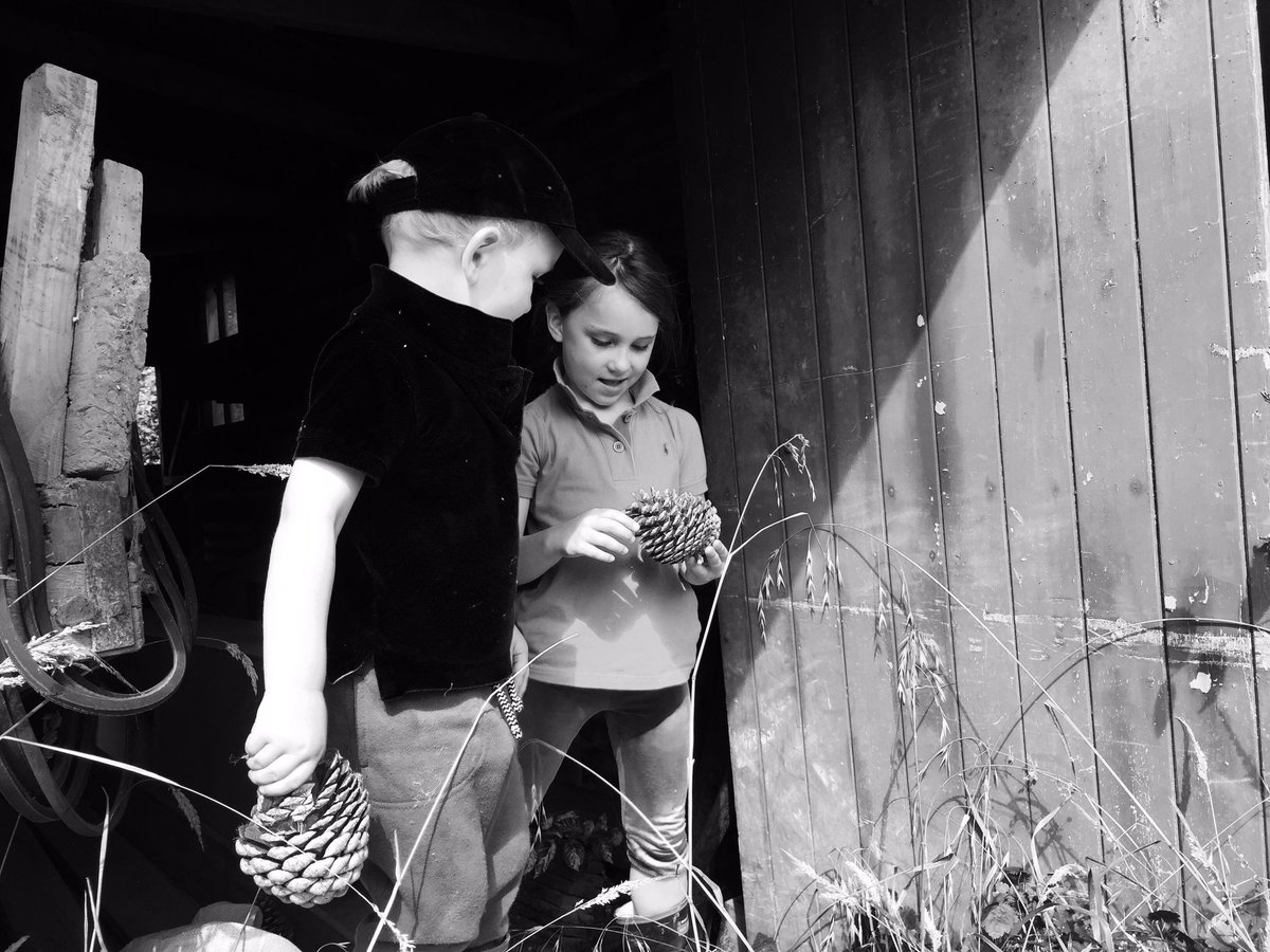 theofficenz's tweet photo. Exploring the old shed brings a few smiles https://t.co/mP4Gnim91D