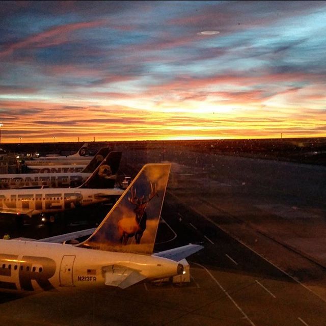 FlyFrontier's tweet photo. Thanks to our fan Cassandra for sharing this amazing sunset with us! https://t.co/tT5JeBHxxO https://t.co/pkOIf8cqjH