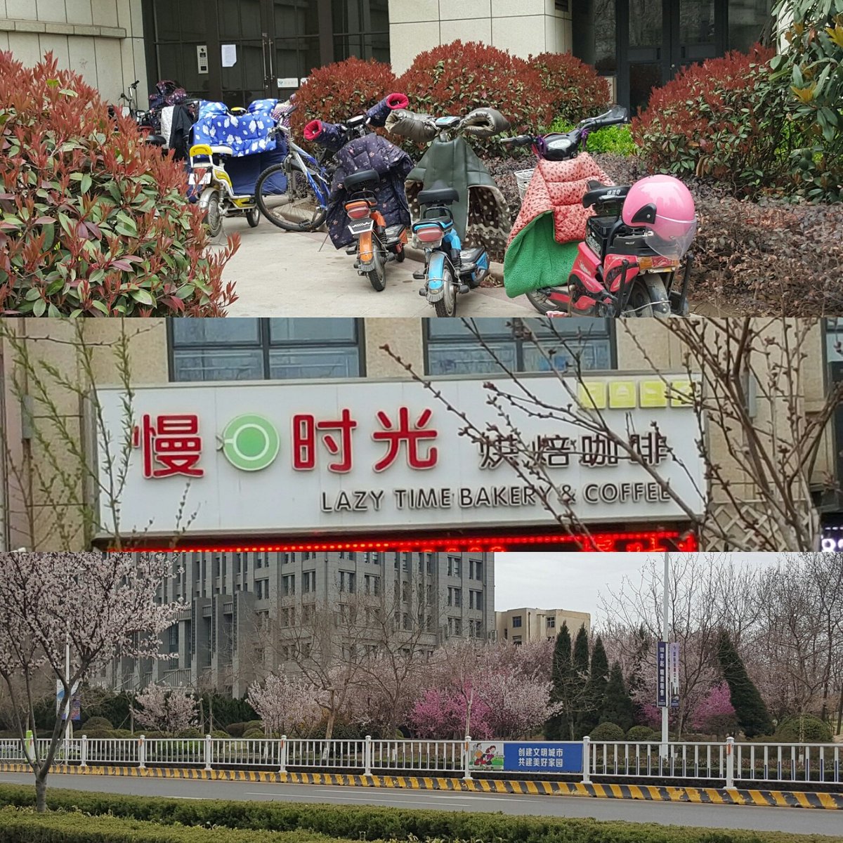 view Chinese New Migrants in