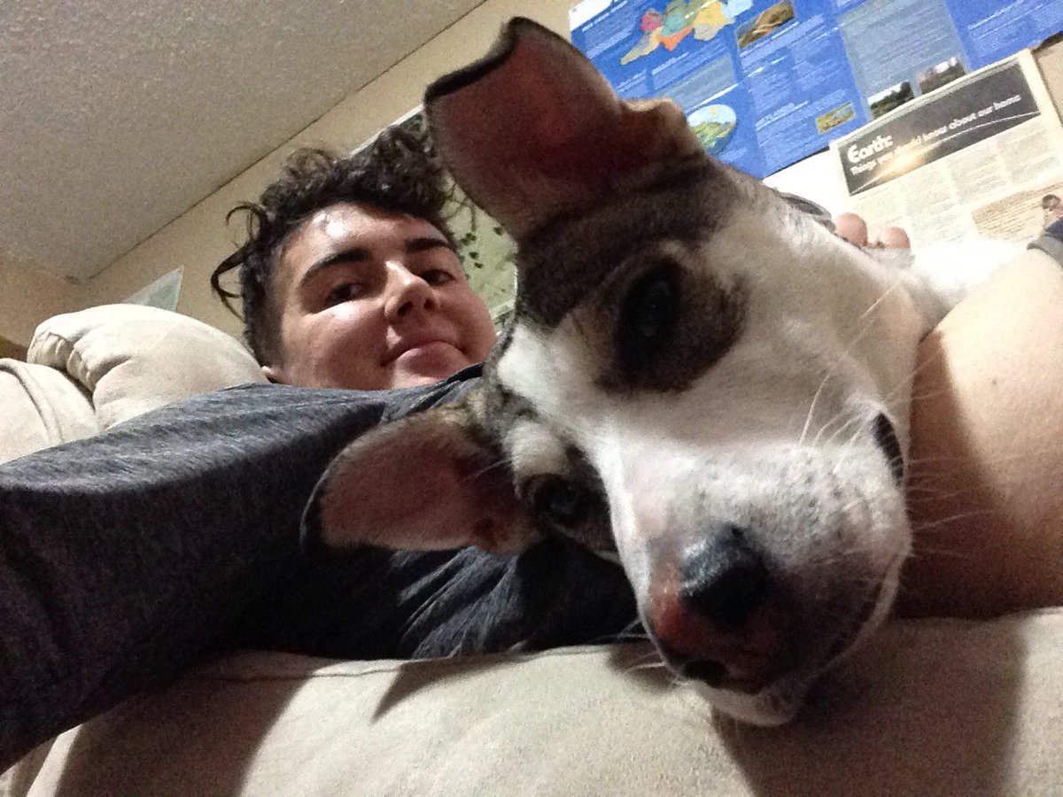 PermiePuppy's tweet photo. Snuggling during a much needed nap time https://t.co/J1URVuRUdt