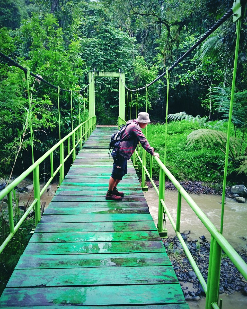 DonnyArjanggi's tweet photo. #explorelampung #explorelambar #jejakpejalan #jejakpetualang #explorependaki
Taman nasional bukit barisan selatan https://t.co/BsAZW7VsSv
