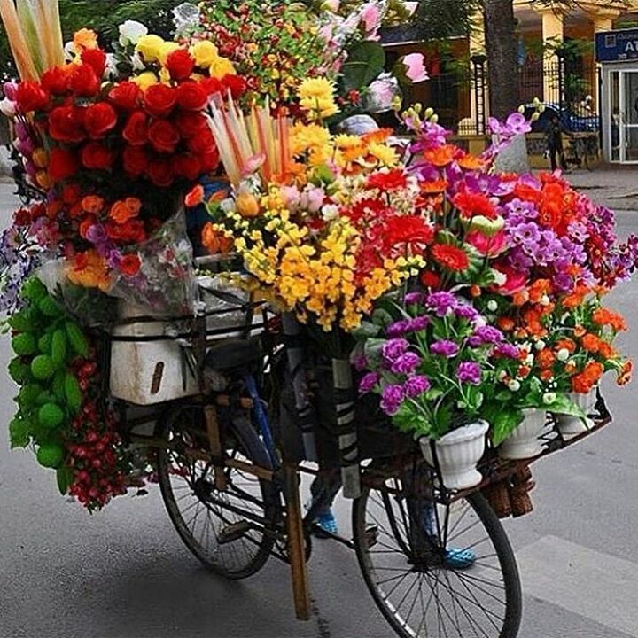 ValentinaDdiaz's tweet image. Necessito! 💙💜💛💚😍😍😍 #flores #pravc #loveflowers #flowers #boanoite by suellenota