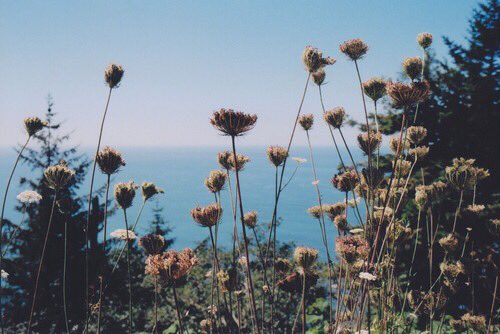 btsaesthetic's tweet photo. bts jin (seokjin) aesthetic https://t.co/0QvPf4Imp3