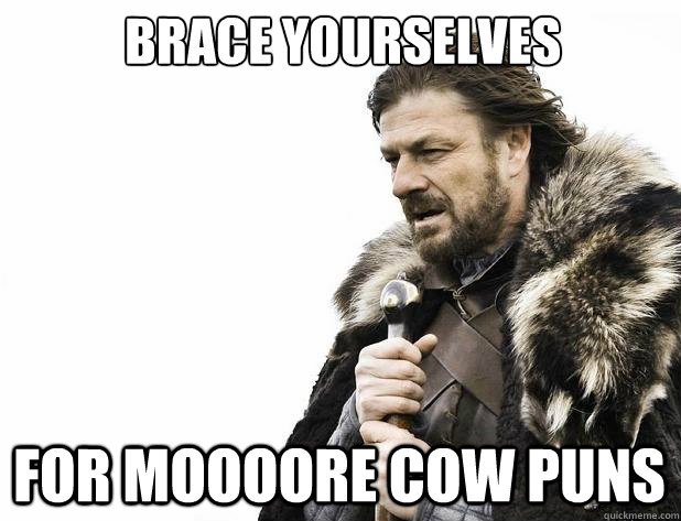 AnsiBull's tweet photo. Been udderly busy lately, automooting all the things w/ @ansible ...sorry! I know my puns are moosic to your ears... https://t.co/pP9WIXGSaO