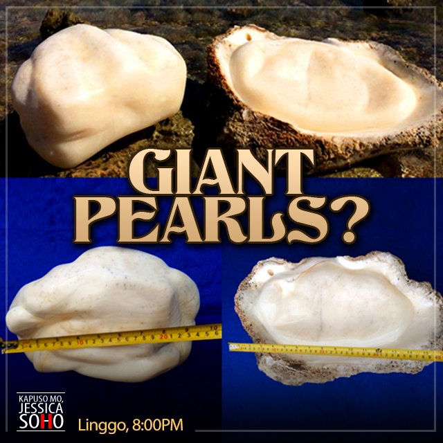 KM_Jessica_Soho's tweet photo. Tunay kayang perlas ang binabansagan ngayong Giant Pearl of Tibiao na natagpuan sa Antique? Suriin sa #KMJS11! https://t.co/2UEvqYZefZ