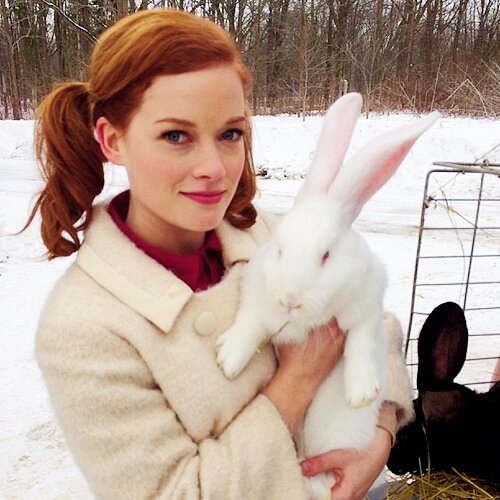 Mollysuit's tweet photo. 🐰 https://t.co/JRrkwELvWk