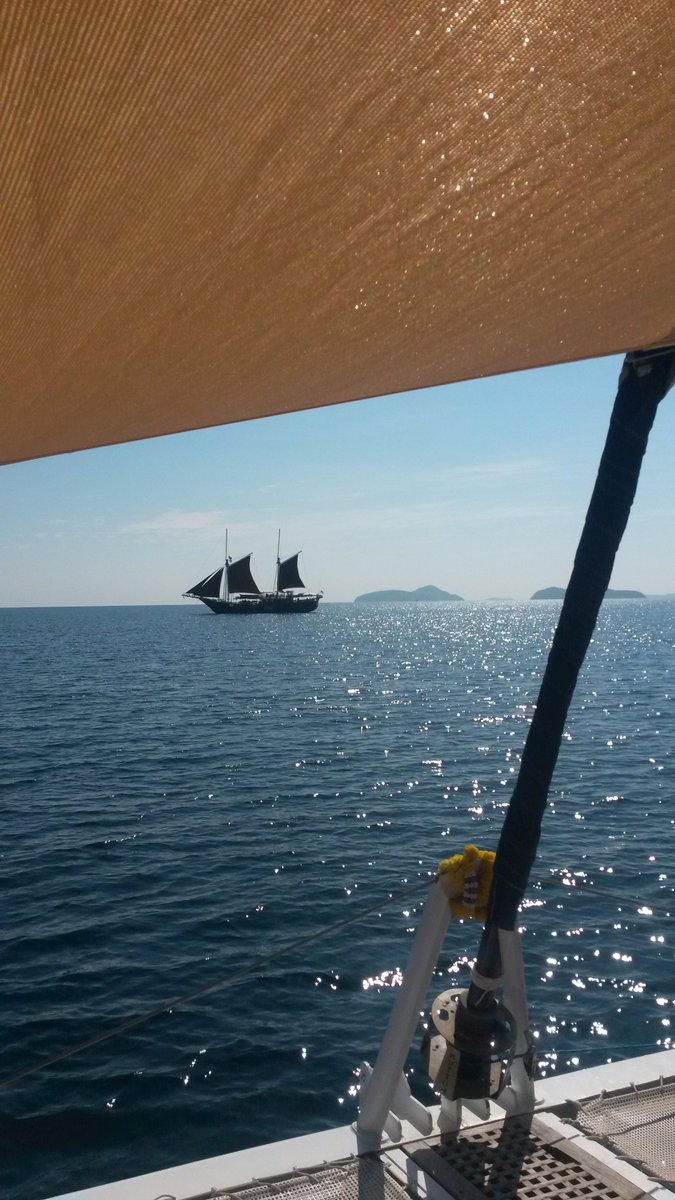 joscreams's tweet photo. #doplhins in #Thailand - totally amazing day! :D https://t.co/ALdC5xegC5