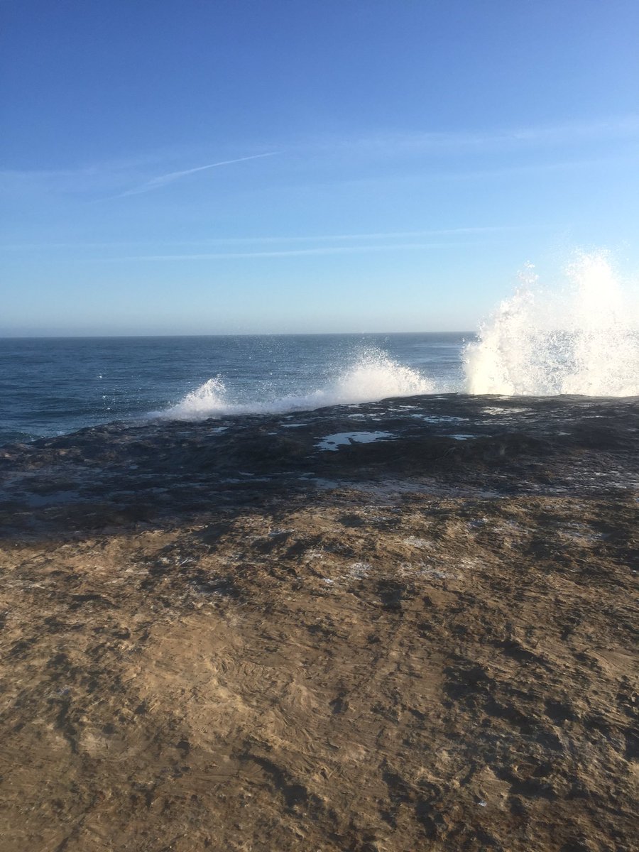 natalieekeith's tweet image. Yesterday was perfect 🌞🤘🏻 #springbreak16