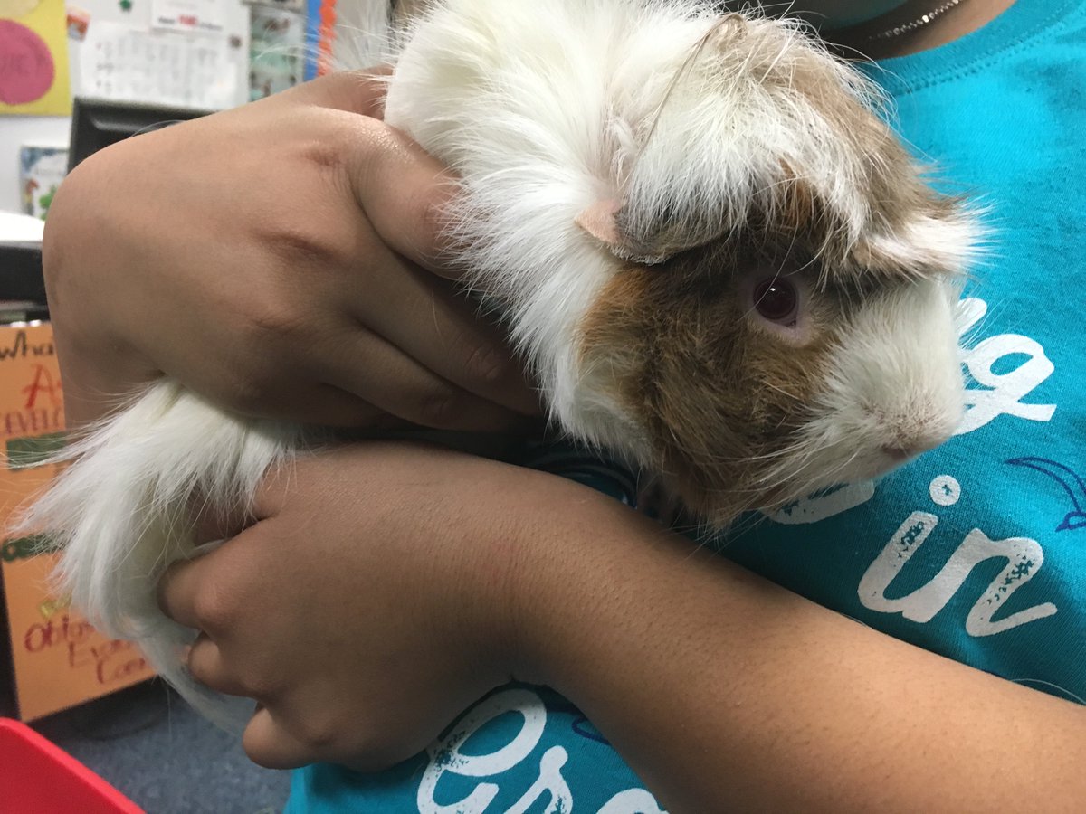 JowellScience tweet media